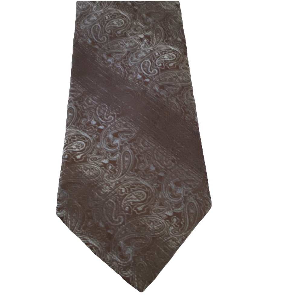 Paul Dione 100% Imported Silk Men's Neck Tie Paisley Pattern 59"x3.5"